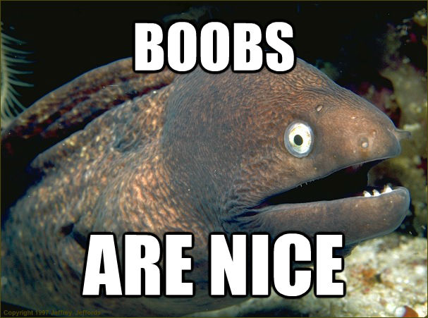 BOOBS  ARE NICE - BOOBS  ARE NICE  Bad Joke Eel