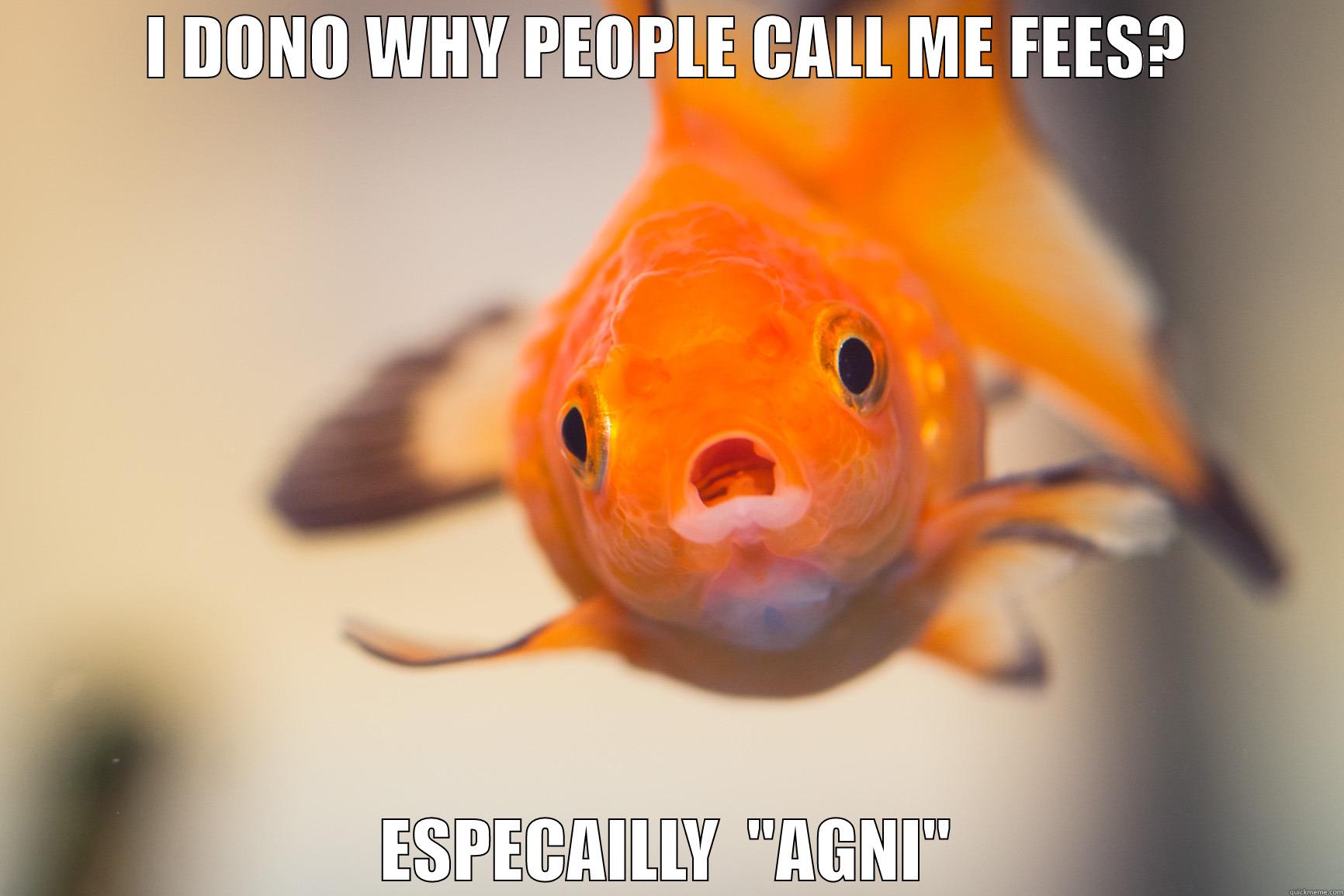 I DONO WHY PEOPLE CALL ME FEES? ESPECAILLY  