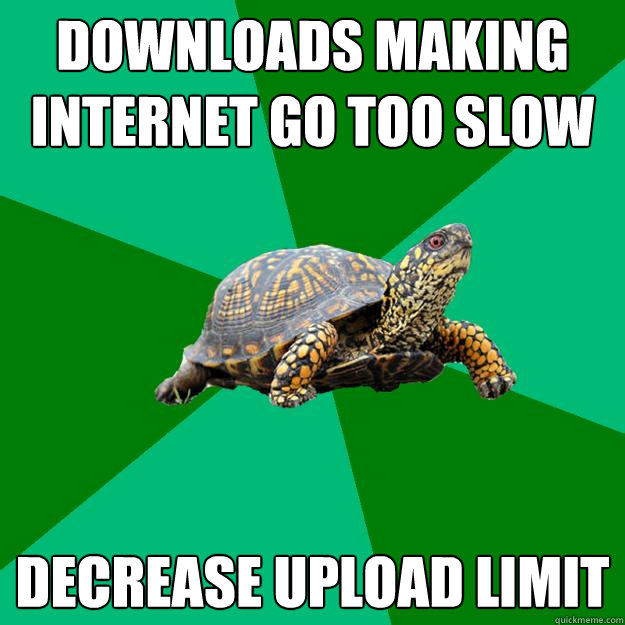 downloads making internet go too slow decrease upload limit - downloads making internet go too slow decrease upload limit  Torrenting Turtle