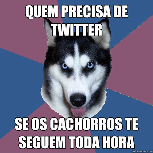 QUEM PRECISA DE TWITTER SE OS CACHORROS TE SEGUEM TODA HORA - QUEM PRECISA DE TWITTER SE OS CACHORROS TE SEGUEM TODA HORA  Creeper Canine