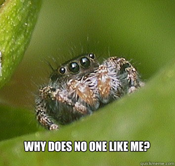  Why does no one like me?  Misunderstood Spider