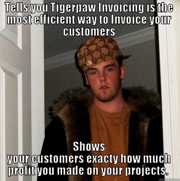 TELLS YOU TIGERPAW INVOICING IS THE MOST EFFICIENT WAY TO INVOICE YOUR CUSTOMERS SHOWS YOUR CUSTOMERS EXACTY HOW MUCH PROFIT YOU MADE ON YOUR PROJECTS.  Scumbag Steve