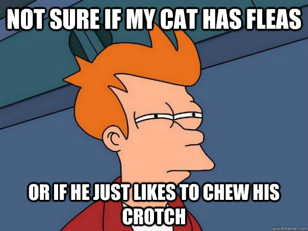 Not sure if my cat has fleas Or if he just likes to chew his crotch   Futurama Fry