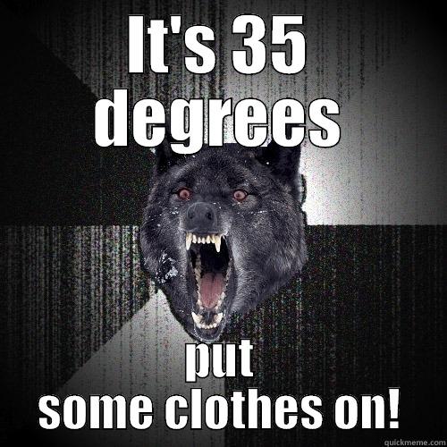 They're seriously wearing booty shorts - IT'S 35 DEGREES PUT SOME CLOTHES ON! Insanity Wolf