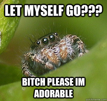 let myself go??? bitch please im adorable  Misunderstood Spider