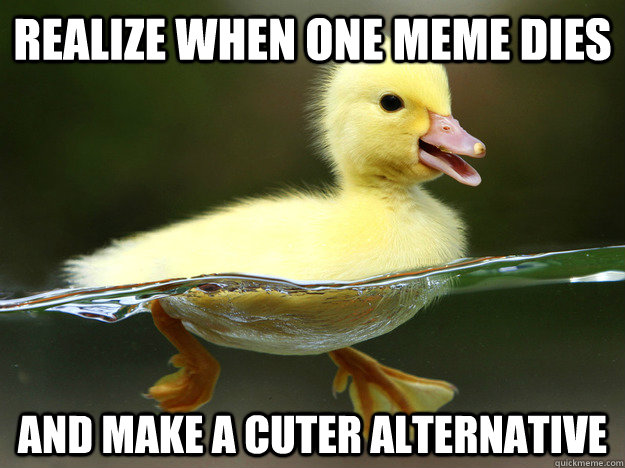 Realize when one meme dies and make a cuter alternative - Realize when one meme dies and make a cuter alternative  Advice Duckling