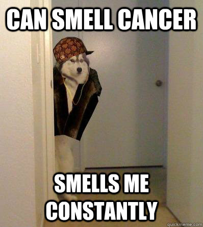 CAN SMELL CANCER SMELLS ME CONSTANTLY  Scumbag dog