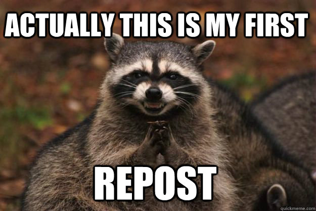 Actually this is my first  repost  Evil Plotting Raccoon