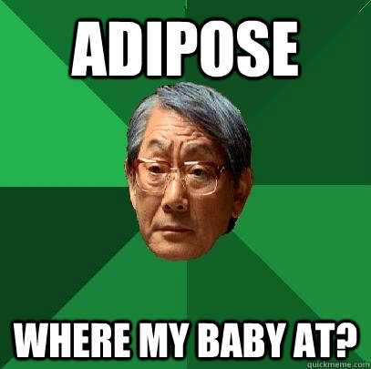 Adipose  where my baby at? - Adipose  where my baby at?  High Expectations Asian Father