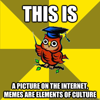 this is a picture on the internet, memes are elements of culture - this is a picture on the internet, memes are elements of culture  Observational Owl