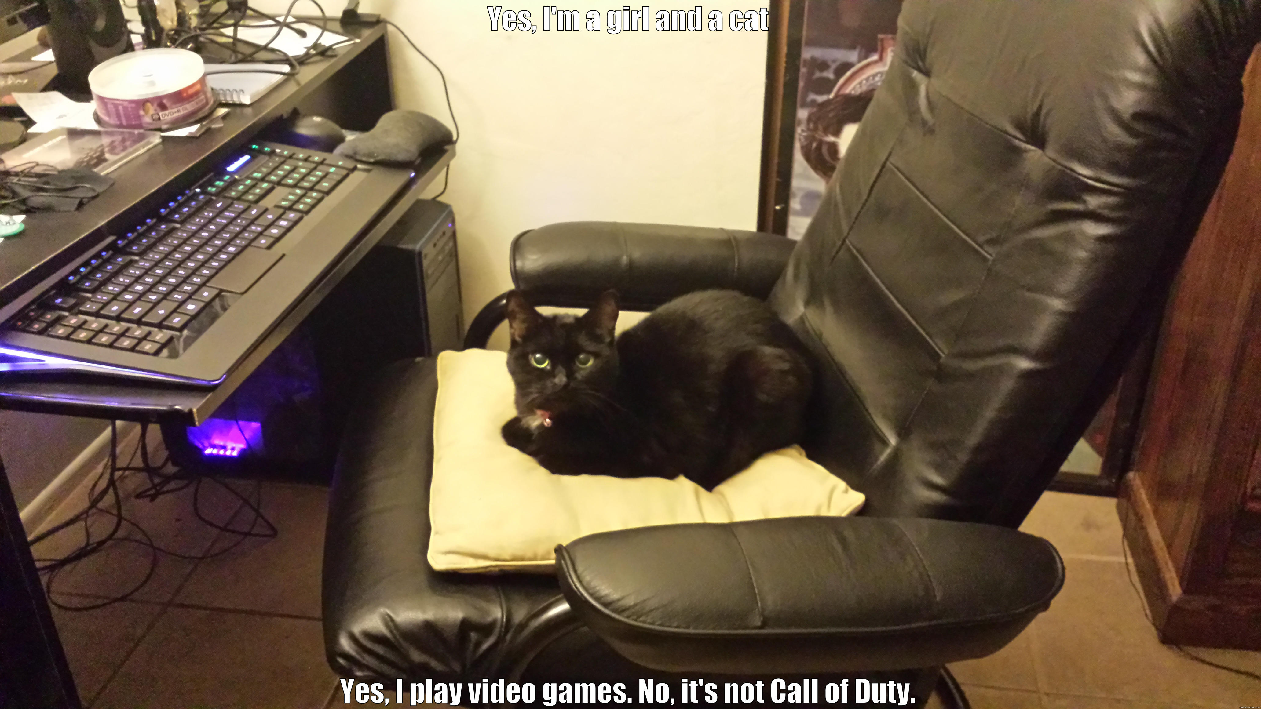 YES, I'M A GIRL AND A CAT YES, I PLAY VIDEO GAMES. NO, IT'S NOT CALL OF DUTY. Misc