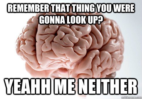 remember that thing you were gonna look up? yeahh me neither  Scumbag Brain