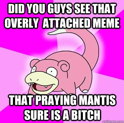 Did you guys see that overly  attached meme That praying mantis sure is a bitch  Slowpoke