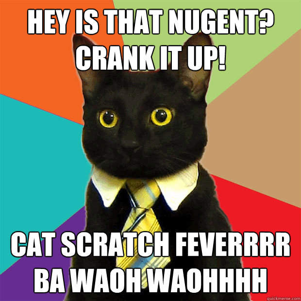 Hey is that Nugent? 
crank it up! Cat Scratch Feverrrr
Ba Waoh Waohhhh   Business Cat