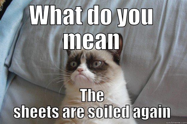 Soiled Sheets - WHAT DO YOU MEAN THE SHEETS ARE SOILED AGAIN Grumpy Cat