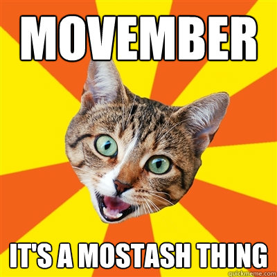 Movember It's a MoStash thing  Bad Advice Cat