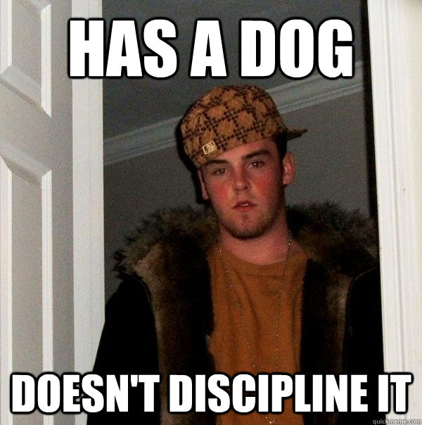 Has a dog Doesn't discipline it - Has a dog Doesn't discipline it  Scumbag Steve