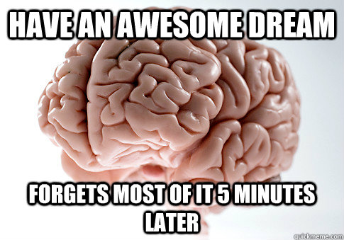 have an awesome dream forgets most of it 5 minutes later - have an awesome dream forgets most of it 5 minutes later  Scumbag Brain