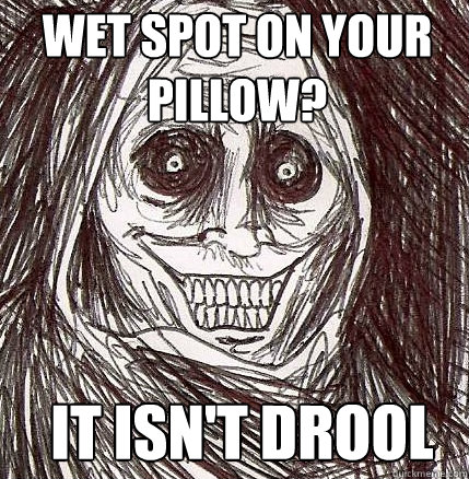 Wet spot on your pillow? It isn't drool  Horrifying Houseguest