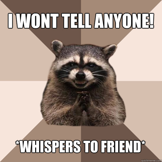 I wont tell anyone! *Whispers to friend*  Evil Plotting Raccoon