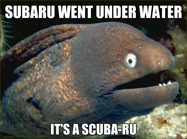 Subaru went under water It's a SCUBA-ru  Bad Joke Eel