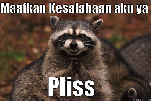 MAAFKAN KESALAHAAN AKU YA  PLISS  Evil Plotting Raccoon