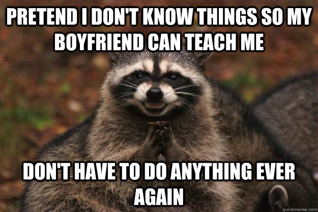 pretend I don't know things so my boyfriend can teach me don't have to do anything ever again  Evil Plotting Raccoon