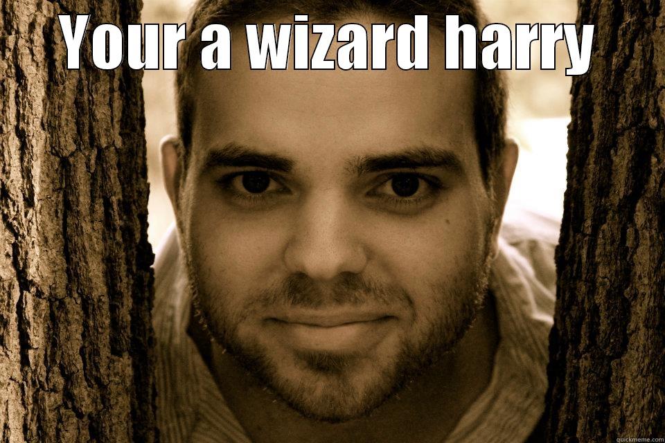 YOUR A WIZARD HARRY  Misc