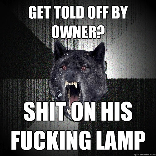 Get told off by owner? SHIT ON HIS 
FUCKING LAMP  Insanity Wolf