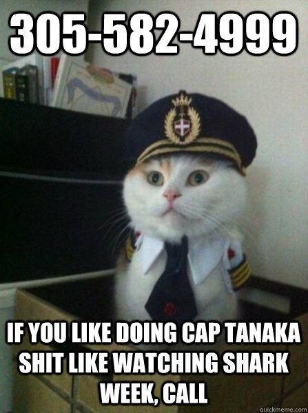 305-582-4999 if you like doing Cap tanaka shit like watching shark week, call - 305-582-4999 if you like doing Cap tanaka shit like watching shark week, call  Captain kitteh