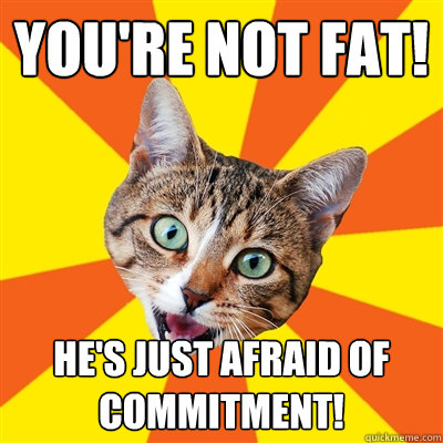 You're not fat! He's just afraid of commitment!  Bad Advice Cat