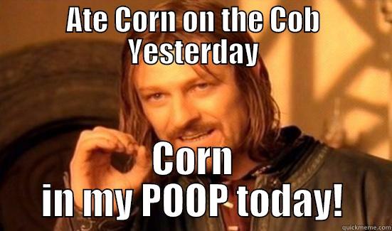 Corn Poop - ATE CORN ON THE COB YESTERDAY CORN IN MY POOP TODAY! Boromir