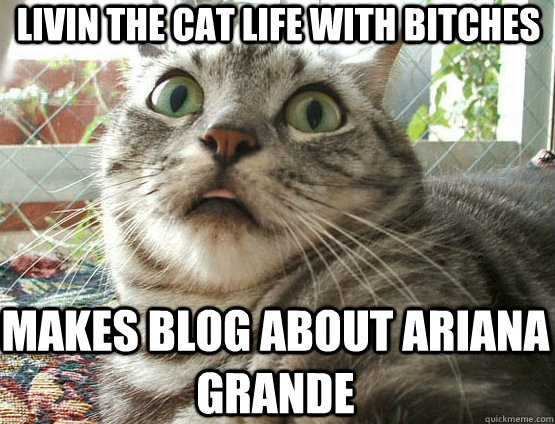 livin the cat life with bitches makes blog about ariana grande - livin the cat life with bitches makes blog about ariana grande  scared cat named joe