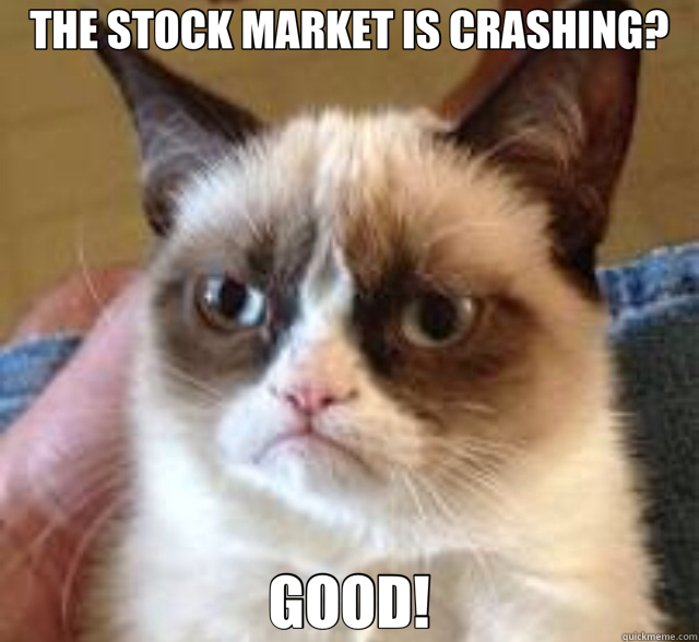 THE STOCK MARKET IS CRASHING? GOOD! - THE STOCK MARKET IS CRASHING? GOOD!  Misc