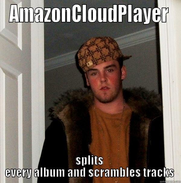 AMAZONCLOUDPLAYER SPLITS EVERY ALBUM AND SCRAMBLES TRACKS Scumbag Steve