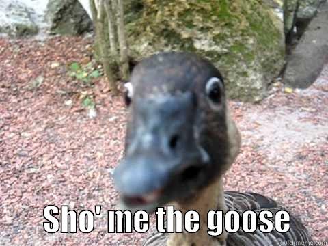          SHO' ME THE GOOSE      Misc