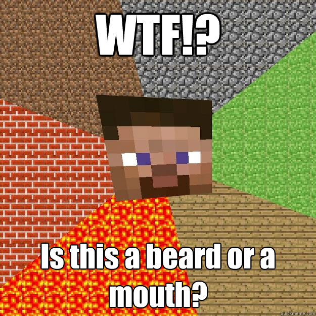 WTF!? Is this a beard or a mouth?  Minecraft