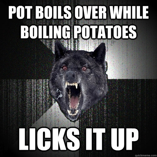 Pot boils over while boiling potatoes Licks it up  Insanity Wolf