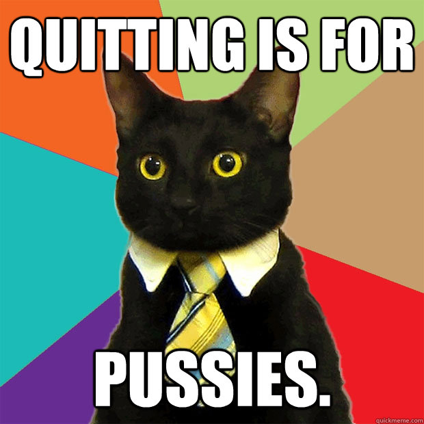 Quitting is for  pussies.  Business Cat