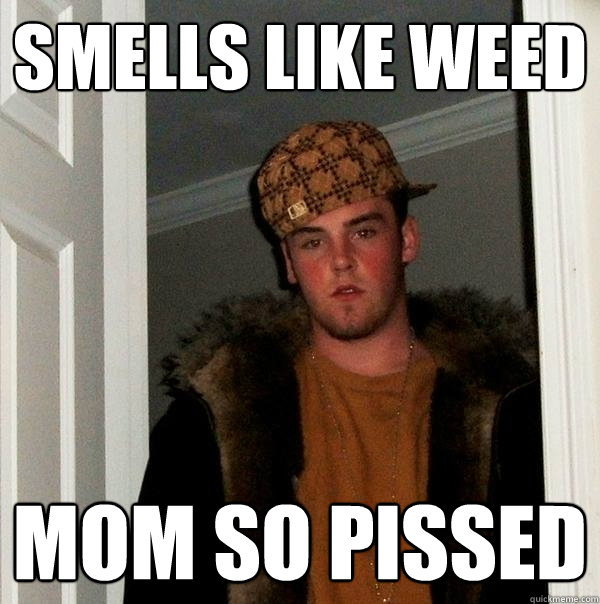 SMELLS LIKE WEED MOM So pissed - SMELLS LIKE WEED MOM So pissed  Scumbag Steve