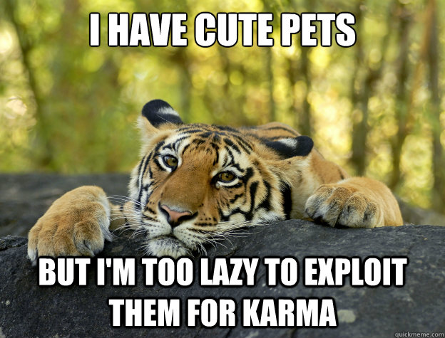 I have cute pets but I'm too lazy to exploit them for karma  Confession Tiger