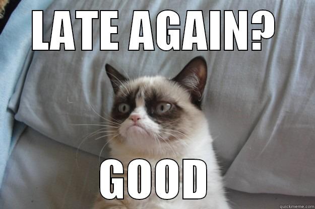 LATE AGAIN? GOOD Grumpy Cat