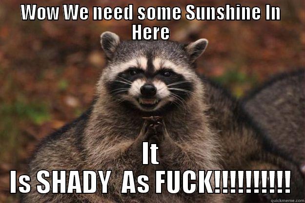 WOW WE NEED SOME SUNSHINE IN HERE IT IS SHADY  AS FUCK!!!!!!!!!! Evil Plotting Raccoon