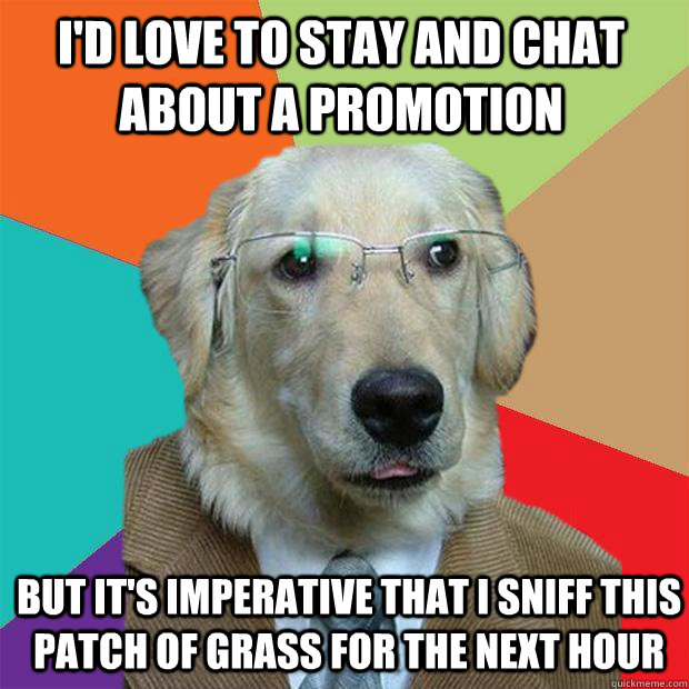 I'd love to stay and chat about a promotion but it's imperative that I sniff this patch of grass for the next hour  Business Dog