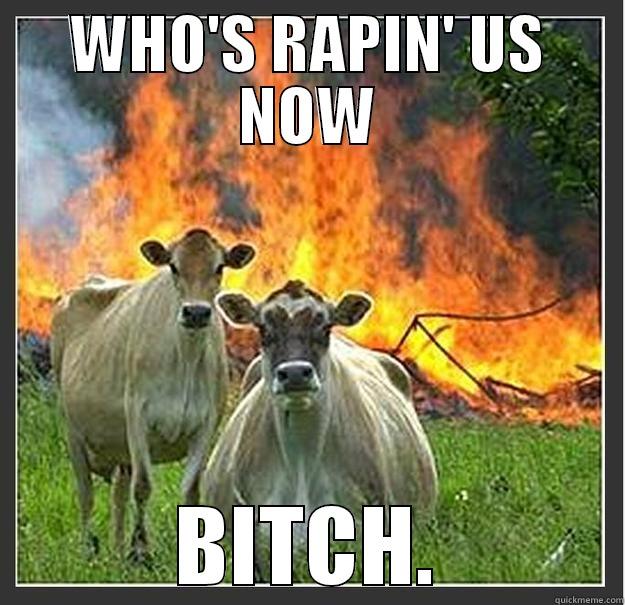 Oh..... erm - WHO'S RAPIN' US NOW BITCH. Evil cows