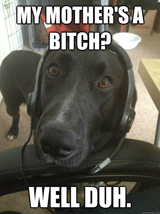 My mother's a bitch? Well duh.  Gamer Dog