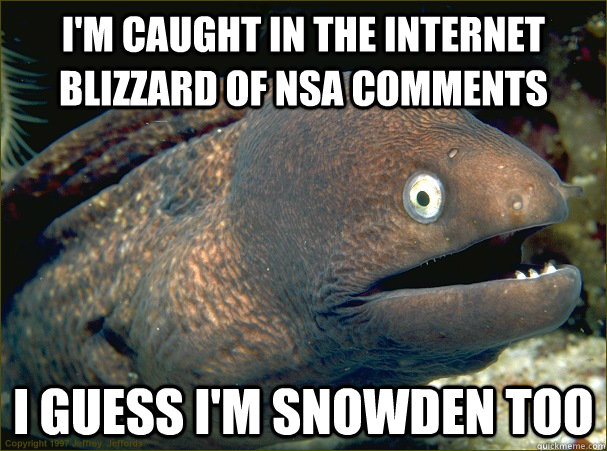 I'm caught in the internet blizzard of NSA comments I guess I'm Snowden too  Bad Joke Eel