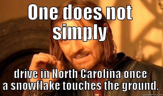 ONE DOES NOT SIMPLY DRIVE IN NORTH CAROLINA ONCE A SNOWFLAKE TOUCHES THE GROUND. Boromir