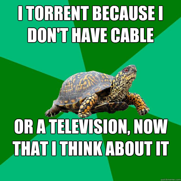 I torrent because I don't have cable or a television, now that I think about it  Torrenting Turtle