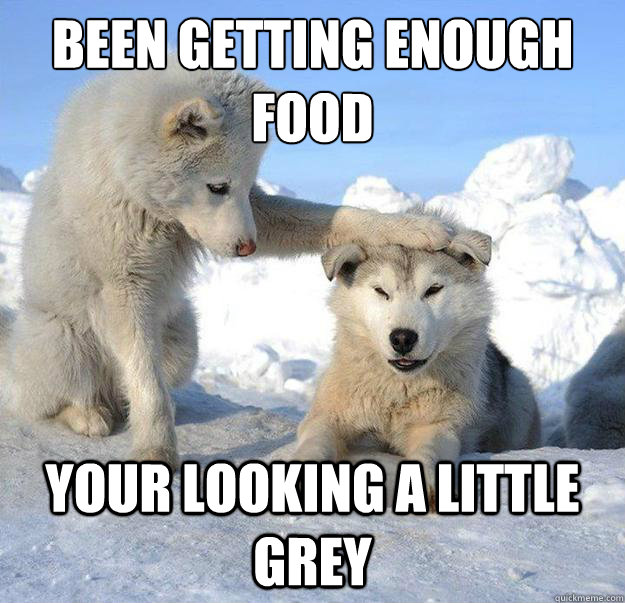 Been getting enough food
 your looking a little grey  Caring Husky